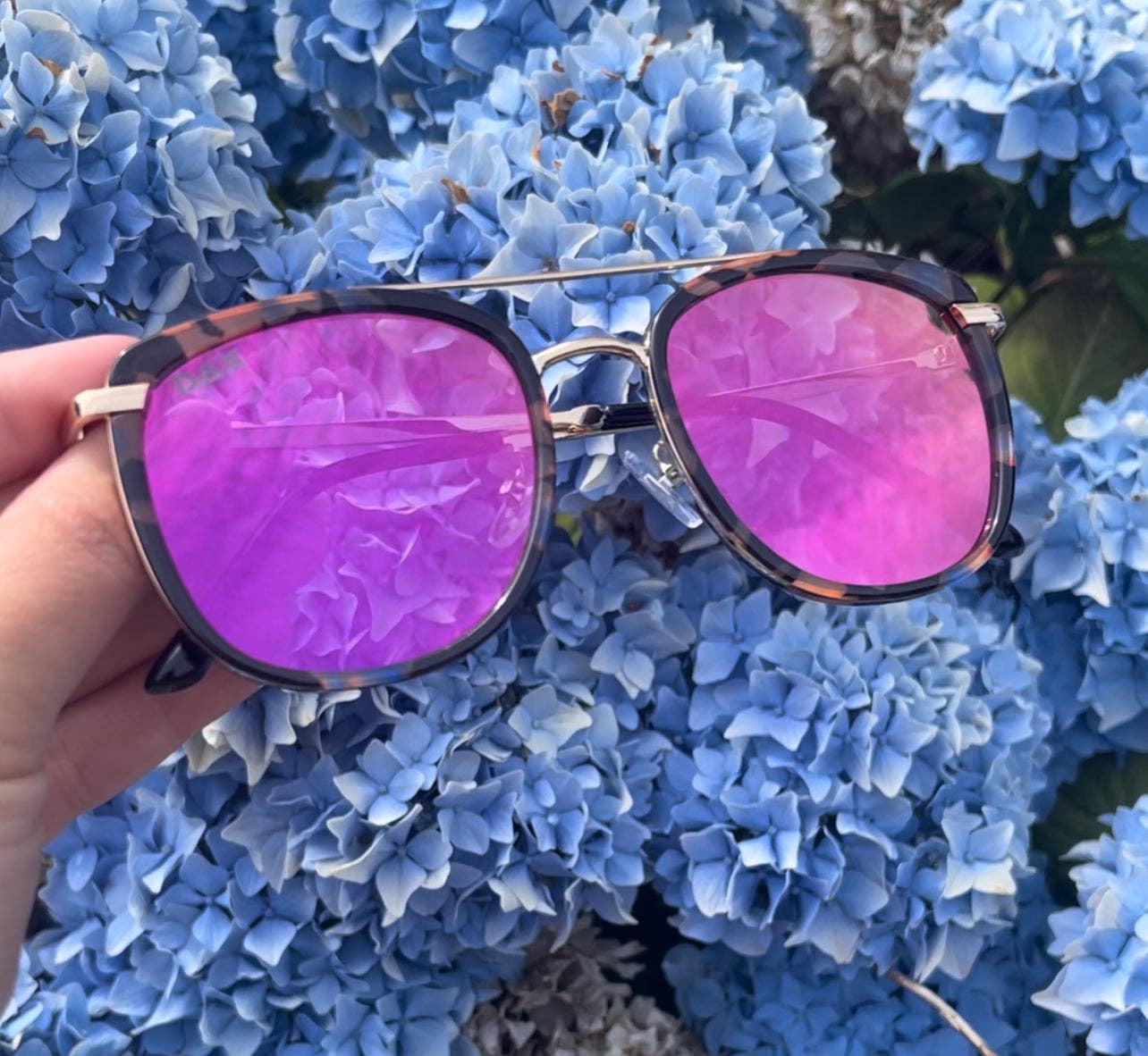 IVY DAX Sunglasses