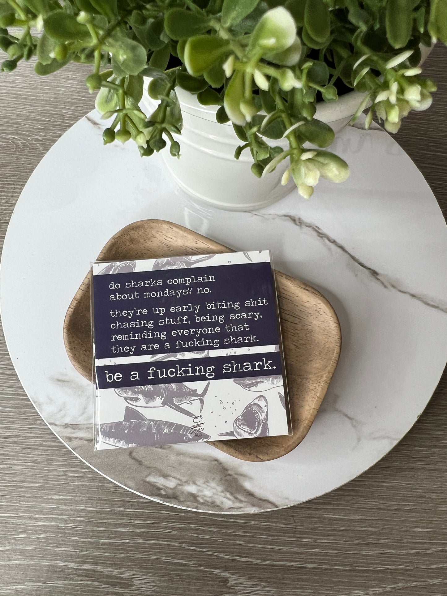 Statement Magnets