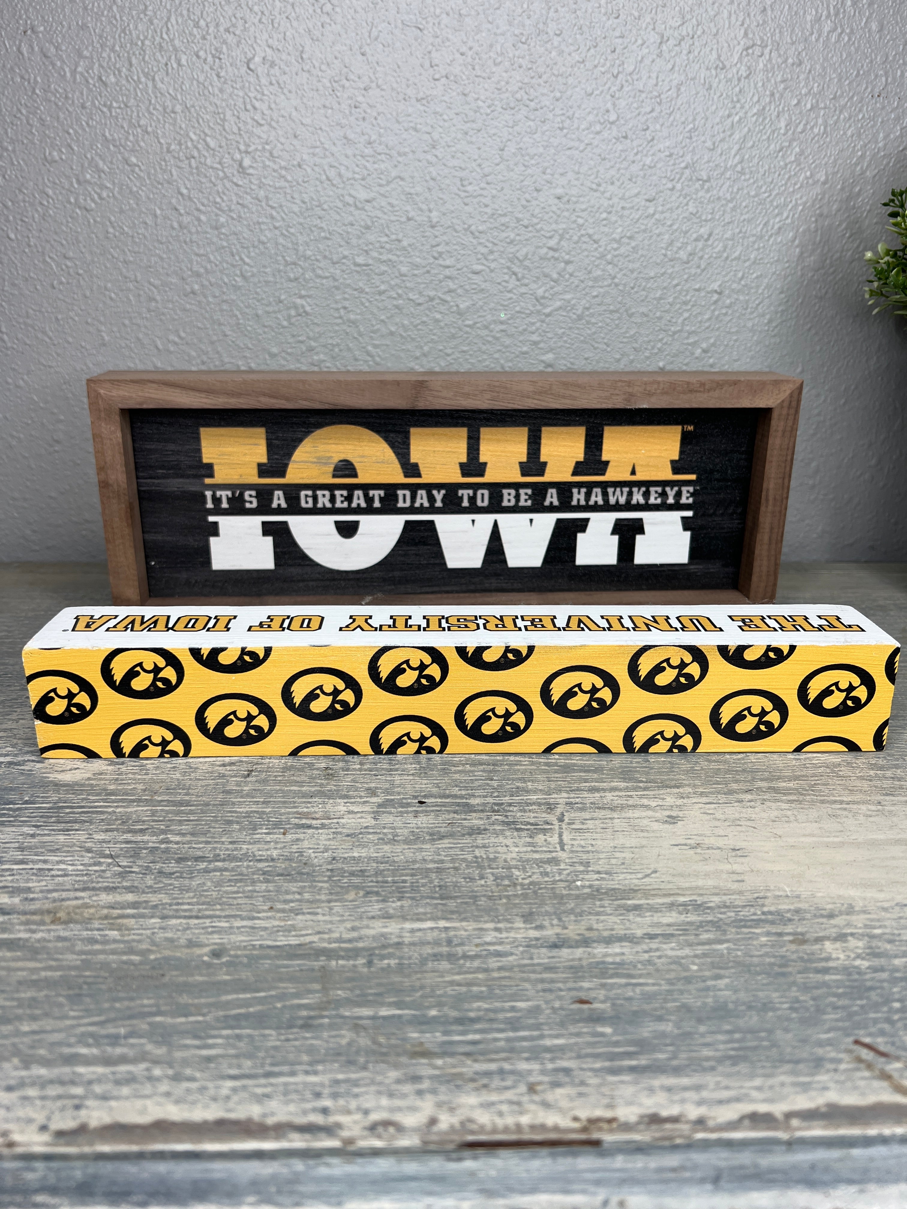 Hawkeye Walnut Frames