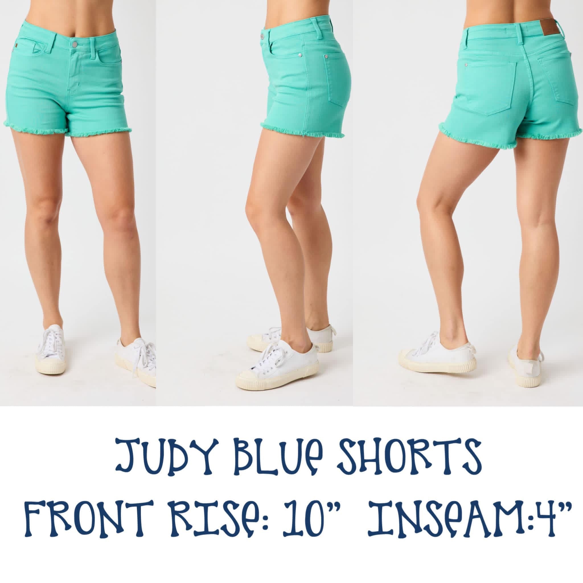 Judy Blue Seaside Breeze Shorts