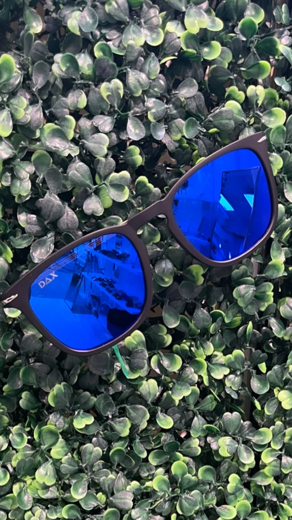 Ferris Blue DAX Sunglasses