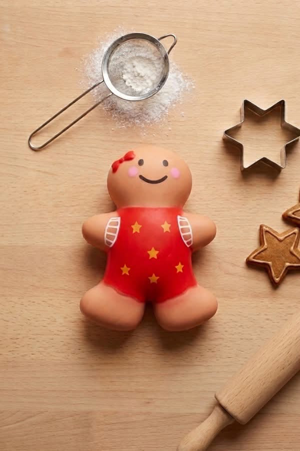 Gingerbread Squishy