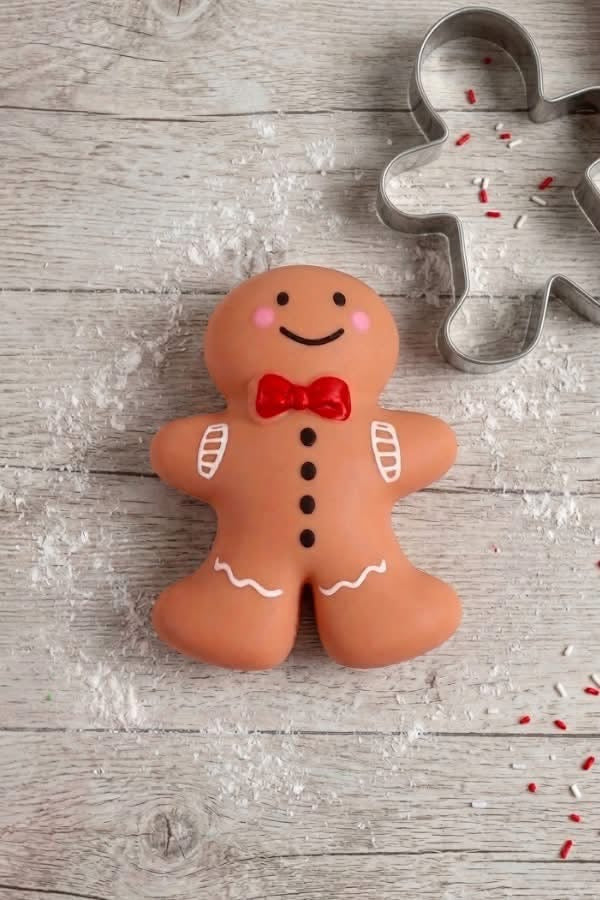 Gingerbread Squishy
