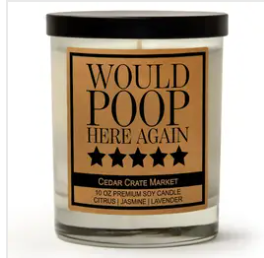 Would Poop Here Again ***** Soy Candle